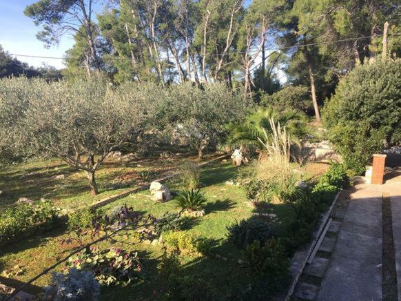 Kuca Za Odmor "Barbenjak" Vir Dış mekan fotoğraf